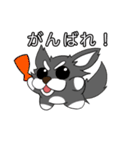 たま犬さん2（個別スタンプ：20）