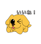 たま犬さん2（個別スタンプ：21）
