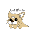 たま犬さん2（個別スタンプ：23）