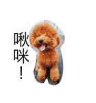 mi ＆ flower（個別スタンプ：1）