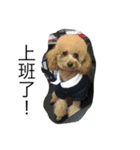mi ＆ flower（個別スタンプ：4）