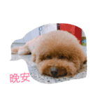 mi ＆ flower（個別スタンプ：7）
