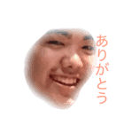 きゃまぼこ（個別スタンプ：1）