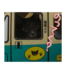 猫で挨拶とか色々（個別スタンプ：15）