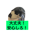 レイニィ スタンプさっ！（個別スタンプ：1）