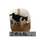 レイニィ スタンプさっ！（個別スタンプ：2）