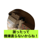 レイニィ スタンプさっ！（個別スタンプ：3）