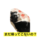 レイニィ スタンプさっ！（個別スタンプ：4）