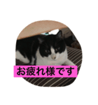 レイニィ スタンプさっ！（個別スタンプ：5）