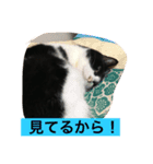 レイニィ スタンプさっ！（個別スタンプ：6）