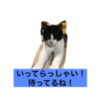 レイニィ スタンプさっ！（個別スタンプ：7）