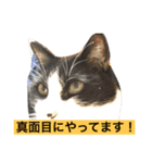 レイニィ スタンプさっ！（個別スタンプ：8）