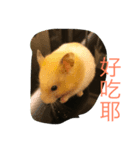 soy milk＆mibo（個別スタンプ：5）