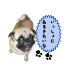 散歩しよ（個別スタンプ：5）