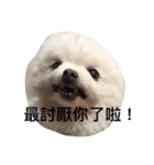 Niu's life（個別スタンプ：5）