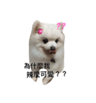 Niu's life（個別スタンプ：7）