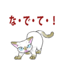 にゃんくす 02（個別スタンプ：2）