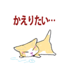 にゃんくす 02（個別スタンプ：13）