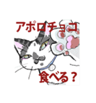 にゃんくす 02（個別スタンプ：19）