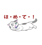 にゃんくす 02（個別スタンプ：21）