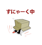 にゃんくす 02（個別スタンプ：37）