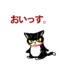 にゃんくす 02（個別スタンプ：39）