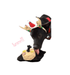 anunu（個別スタンプ：2）