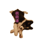Dog happy day（個別スタンプ：1）