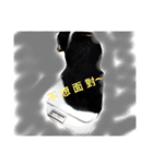 Dog happy day（個別スタンプ：7）