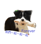 Dog happy day（個別スタンプ：14）