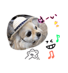犬と楽しむ日常会話集（個別スタンプ：25）