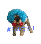 tiger's life2（個別スタンプ：4）