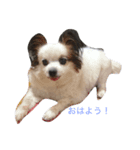 ななこのきもち（個別スタンプ：1）