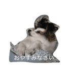 ななこのきもち（個別スタンプ：2）