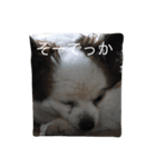 ななこのきもち（個別スタンプ：5）