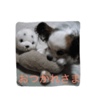 ななこのきもち（個別スタンプ：6）