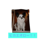 ななこのきもち（個別スタンプ：7）