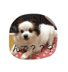ななこのきもち（個別スタンプ：8）