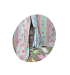 るい氏  2（個別スタンプ：3）
