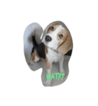 sushi say wat！（個別スタンプ：5）