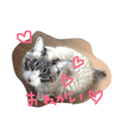 ナナと一緒（個別スタンプ：1）
