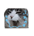 ナナと一緒（個別スタンプ：4）