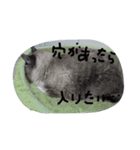 ナナと一緒（個別スタンプ：5）