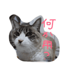 ナナと一緒（個別スタンプ：7）