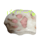 ナナと一緒（個別スタンプ：8）