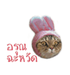 Catmoji（個別スタンプ：14）