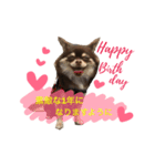愛犬モコの日常（個別スタンプ：12）