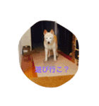 えれなちゃん（個別スタンプ：20）