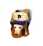 えれなちゃん（個別スタンプ：23）