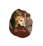 えれなちゃん（個別スタンプ：24）